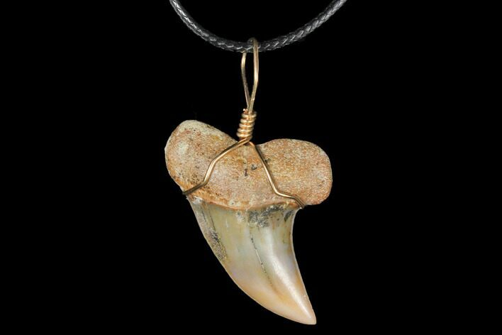 Fossil Mako Tooth Necklace - Bakersfield, California #130875